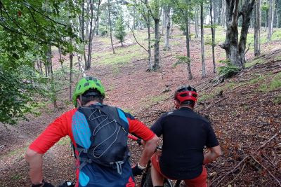 ciclabile alagna foresta