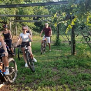 bike team building caudalie vigne